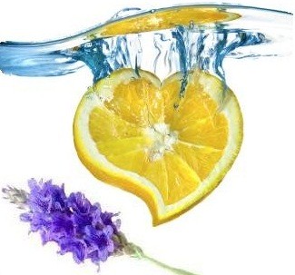 Edible Massage Oil Lavender Lemon