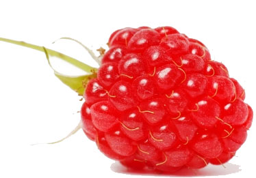 Body Cream Raspberry